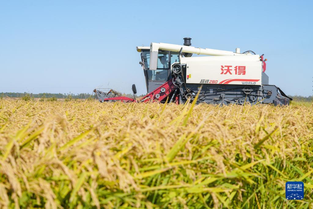 云顶娱乐苹果